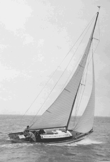 Piraya WYC 1950