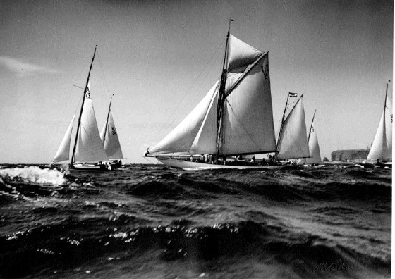 Regatta