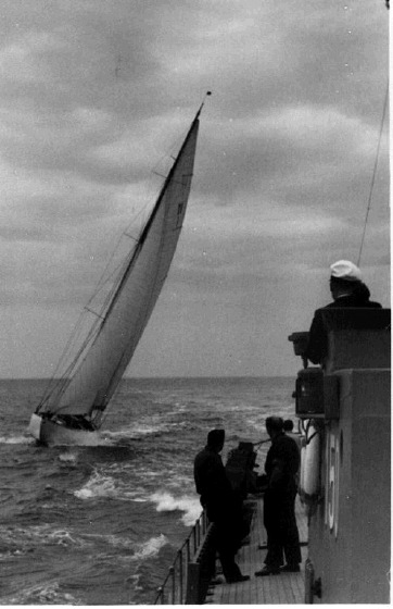 Regatta 1954