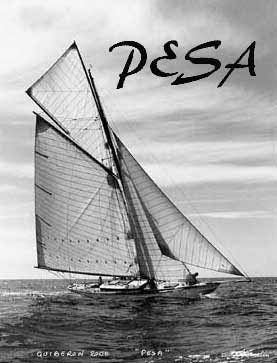 Pesa